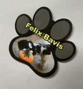 Large Sponsor Paw — DeKalb Humane Society