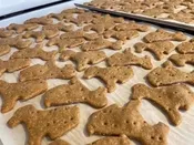 Fresh-Baked Peanut Butter Barkers for Dogs — Spike's Treats