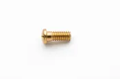 2.0 x 1.4 x 3.5 Gold Eyewire Screw #1574