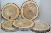 Balm of Gilead Wood Slice - Ten  5" to 7" diameter x .65 to 1" thick Wholesale