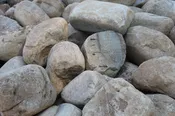 Appalachian Creek Mountain Mix