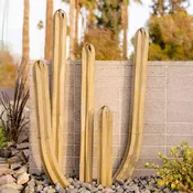 5pc Mexican Fence Post