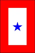 10″ x 14″ Fully Sewn Blue 2 Star Service Banner