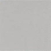 ABSORBER CS