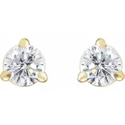 14K Yellow Gold Lab-Grown Diamond 1/3cttw Cocktail Stud Earrings - 3.5mm