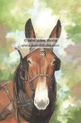 Buford Mule