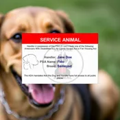 Psychiatric Service Animal ID | American Service Pets