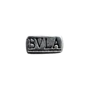 BVLA Plate — CowPok