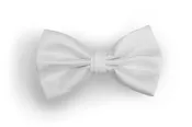 #120 Bow Tie