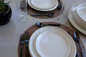 Mid-Century Modern Iroquois Plates — Tracey Becker Interiors