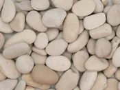 Ivory Pebble