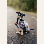 5/A Baker Classic Dog Blanket