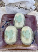 Cactus soap