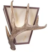 Antler Vegas Sconce