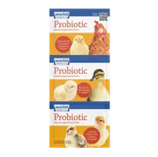 Sav-A-Chick® Probiotic Supplement