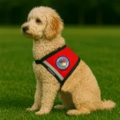 Autism Service Dog Zipper Pocket Vest - Puzzle Piece Patch