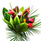 Multi-Colors Tropical Bouquet