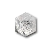 0.95ct | Salt & Pepper Hexagon Shape Rose Cut Diamond