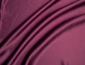 Bella Eggplant