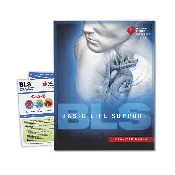 BLS Provider (Initial) (Healthcare)