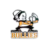 Bullies Pin