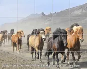 Kitchen Backsplash Tile Mural Custom Printed 30Wx24Hi