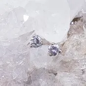 14K White Gold Diamond Earrings .25DTW