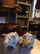 Floral Pig Salt and Pepper Shaker Set — Carpe Diem