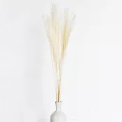 10 Pc White Horsetail Bundle