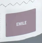 Sample Tin (120mL) of Emile Chalk Paint® by Annie Sloan