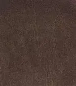 13 Nevada Coffee Fabric Swatch