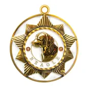 Beagle Dog Id Tag Gold Finish
