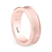 Aldridge Band with Matte Finished Center, 6mm