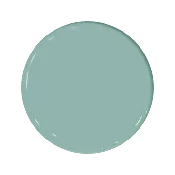 Araucana