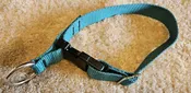 Collar – Alaskan 1″ Teal QUICK RELEASE Large  CLEARANCE
