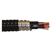 10 AWG 2C w/GND TECK 90 Armored Cable – -40C to 90C – 600V – Black – Cut to Length