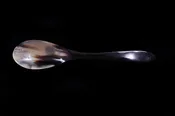 Curry Spoon - Water Buffalo Horn