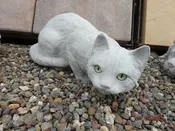 Crouching Cat With Green Eyes
