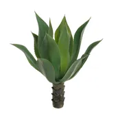 23" Agave Stem