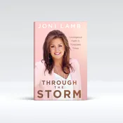Through the Storm