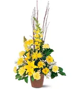 Brighter Blessings Sympathy Arrangement