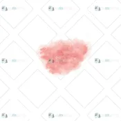 Bruise – Trauma Tattoo