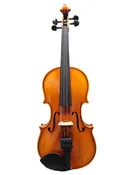 Eastman Outfit - Model 100 Violin — Tulsa Strings Violin Shop