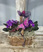 African Violet Basket — The Country Basket
