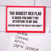 Biggest Red Flag... Magnet