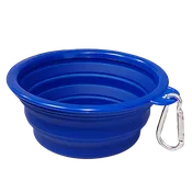 Collapsible Bowl