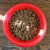 Adult Cat + Kitten Food (per pound)
