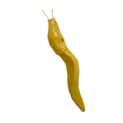 Banana Slug Magnet