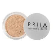 Conceal & Correct Powder