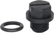 0.25" Drain Plug with Gasket